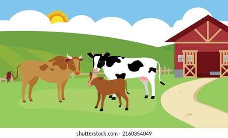 Two cows and a calf on a farm