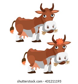 Two cows eat hay. Vector illustration.