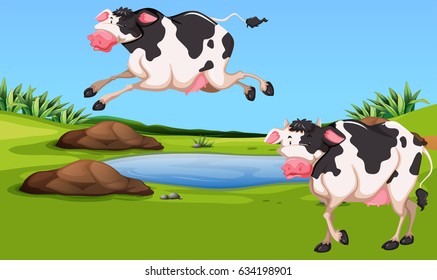 Two cows in the farm illustration