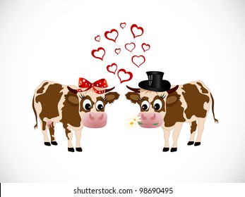 Two cows in love - she and he - on white background