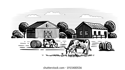 two cows on background of farm