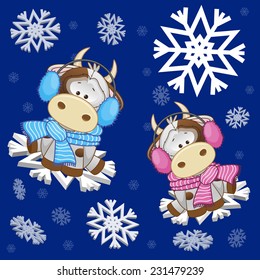 Two Cows at the snowflakes 