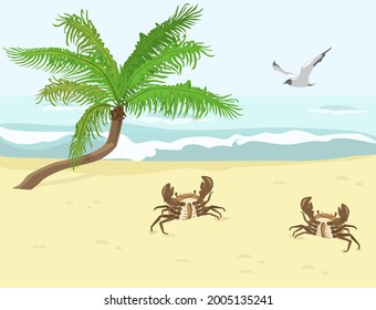 Two crabs and palm tree on the beach. Ore in the background. Seascape in summer