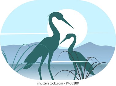 two cranes on sunlight	