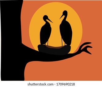 Two cranes sitting in nest during the sunset on tree