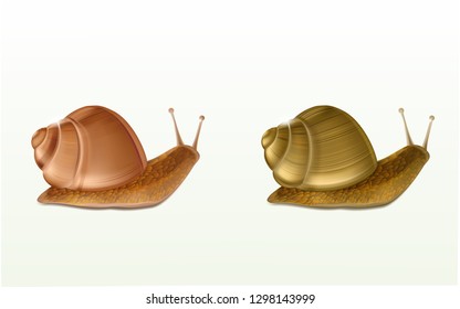 Two creeping Burgundy or Roman snails 3d vector icons isolated on white background. French cuisine delicatessen, edible and farming European specie snail, skincare cosmetics ingredient illustration