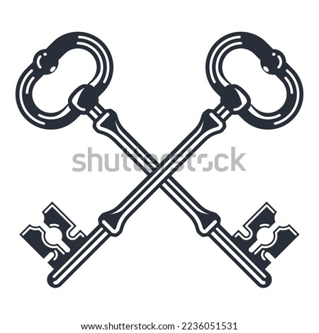 Two crossed vintage keys, heraldic symbol of secret, old delicate keys, vector