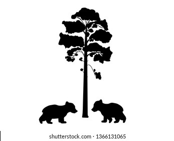 Two cub bears near tree silhouette animal