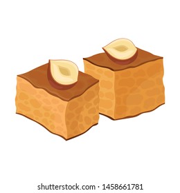 Two cubes of baklava with glaze. Vector illustration on white background.