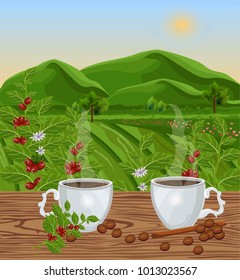 Two cups of coffee with landscape view Vector. Green fields of Coffee beans harvests