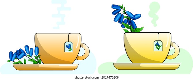 dos tazas de té con bayas y hojas de la planta nuez de miel