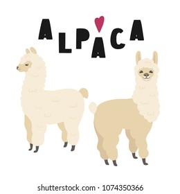 Two cute alpacas illustration with lettering, isolated on white background. Vector clipart. 