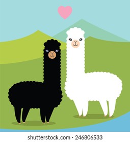 Two cute alpacas in love