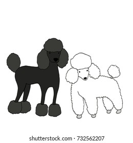 Two Cute, Beautiful Dogs, One Black, Second White, Isolated On White Background, Vector Hand Drawing, Cartoon Style, Illustration Pets Fanny Poodle.
