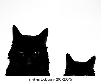 Two cute black cats. 