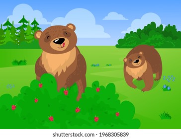 Dos osos marrones adorables comiendo frambuesas de bosque. Ilustración vectorial de dibujos animados. Fantasía animales salvajes recogiendo, disfrutando deliciosas bayas de arbusto de frambuesa. Naturaleza, animal silvestre, concepto de alimentos para el diseño