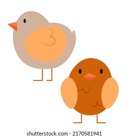 Two cute brown and grey chicks