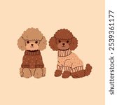 Two cute brown miniature poodles in sweaters. Vector graphics.