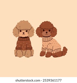 Dois poodles em miniatura marrom bonitos em suéteres. Gráficos vetoriais.