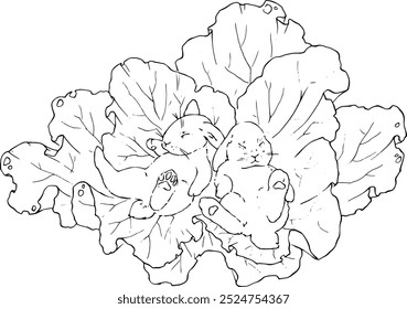 Two cute bunnies are sleeping in cabbage leaves. Line drawing. For printing coloring books, postcards, dishes, clothes, children's books. For website design, invitations to twins' birthday, etc.