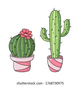 Two cute cacti in a pots isolated on white background. Bright hand drawn vector flowers for package, wrapping paper, banner, print, card, gift, fabric, label, advertising, textile, web.