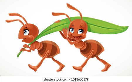 Two cute cartoon ant carry green juicy blade of grass isolated on a white background