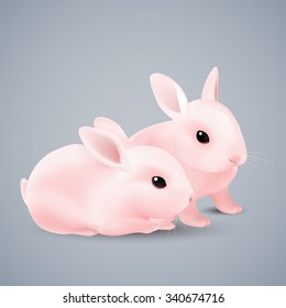 Two Cute Cartoon Bunnies of Pink Color