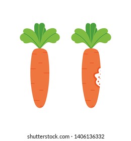 Two cute cartoon style fresh carrots, whole and with teeth bite mark.