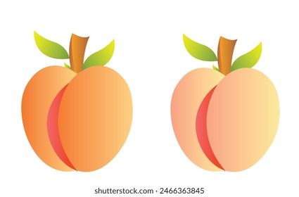 Two Cute Cartoonist Peach Fruit Dark and Light color isolated on white background. Editable Fruits clipart vector EPS available