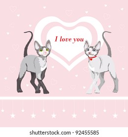 Two cute cat: Valentines day illustration