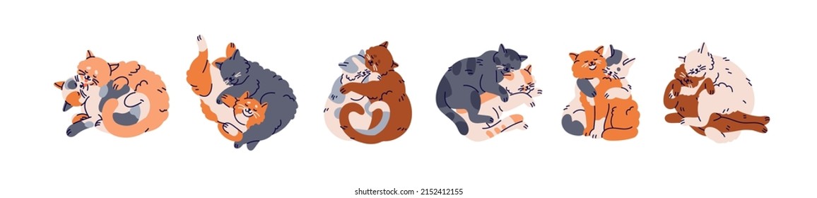 Two cute cats friends hug. Funny kitties couples cuddle. Kitten pairs groom each other, sleep together. Feline animals love, friendship. Flat graphic vector illustration isolated on white background