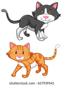 Dos lindos gatos en la ilustración de fondo blanco