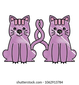two cute cats sit with tails crossed