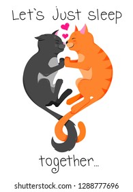 Two cute cats are sleeping together