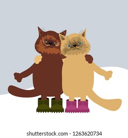 two cute cats in winter 