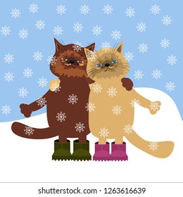 two cute cats in winter day 