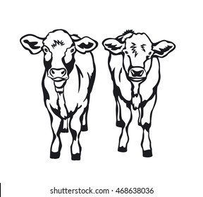 Two Cute Cows front view vector illustration