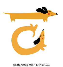 Two cute dachshunds. Vector hand drawn illustration on white background. 