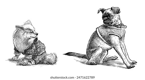 Dos perros lindos sentados y mirando, dibujo de mano realista aislado en blanco, Ilustración vectorial