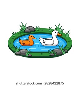 Two cute ducks swimming in a small grassy pond with rocks wildlife swimming