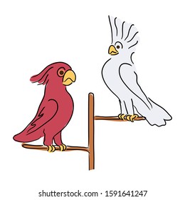 Two cute exotic cockatoo parrots sitting on perch branch. Tropical wildlife feather parrots. Kids zoo characters. Wild animal birds isolated on white. Vivid nature. Vector flat illustration