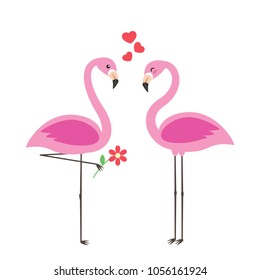 Two cute flamingos in love. Vector card with white background