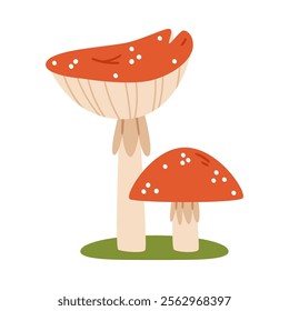 Two cute fly agarics.Cute amanita with red hat and white spots. Hand-drawn colored flat vector illustration isolated on white background.