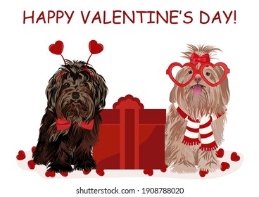 Two cute funny dogs. Valentines day card. Vector illustration.   