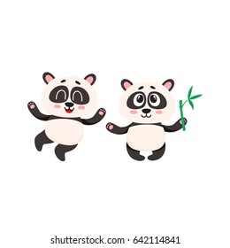 Two cute, funny happy baby panda characters standing, looking up, cartoon vector illustration isolated on white background. Couple of cute little panda bear characters, mascots with paws raised up