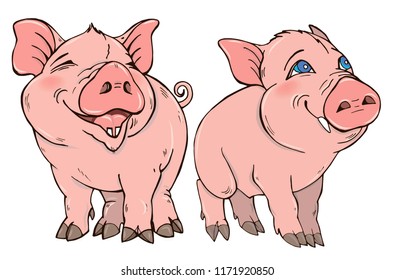 Two cute funny pig vector illustration on white background, pig is the symbol of 2019