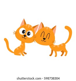 Two cute and funny red cat, kitten characters, looking curiously, interested, cuddling, cartoon vector illustration isolated on white background. Couple of cute little red cat, kitten characters