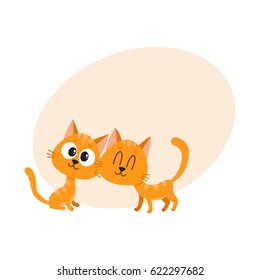 Two cute and funny red cat, kitten characters, looking curiously, interested, cuddling, cartoon vector illustration with space for text. Couple of cute little red cat, kitten characters