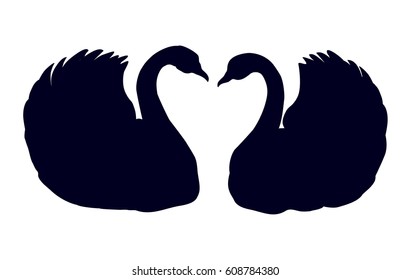 Two cute gentle Cygnus swim bowed to each other curving necks in kiss with space for text on white water backdrop. Freehand black ink drawn picture logo in art ancient engraving style