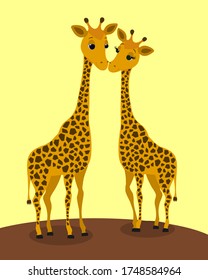 Dos jirafas lindas son felices porque están enamoradas unas de otras. Aislado sobre fondo amarillo